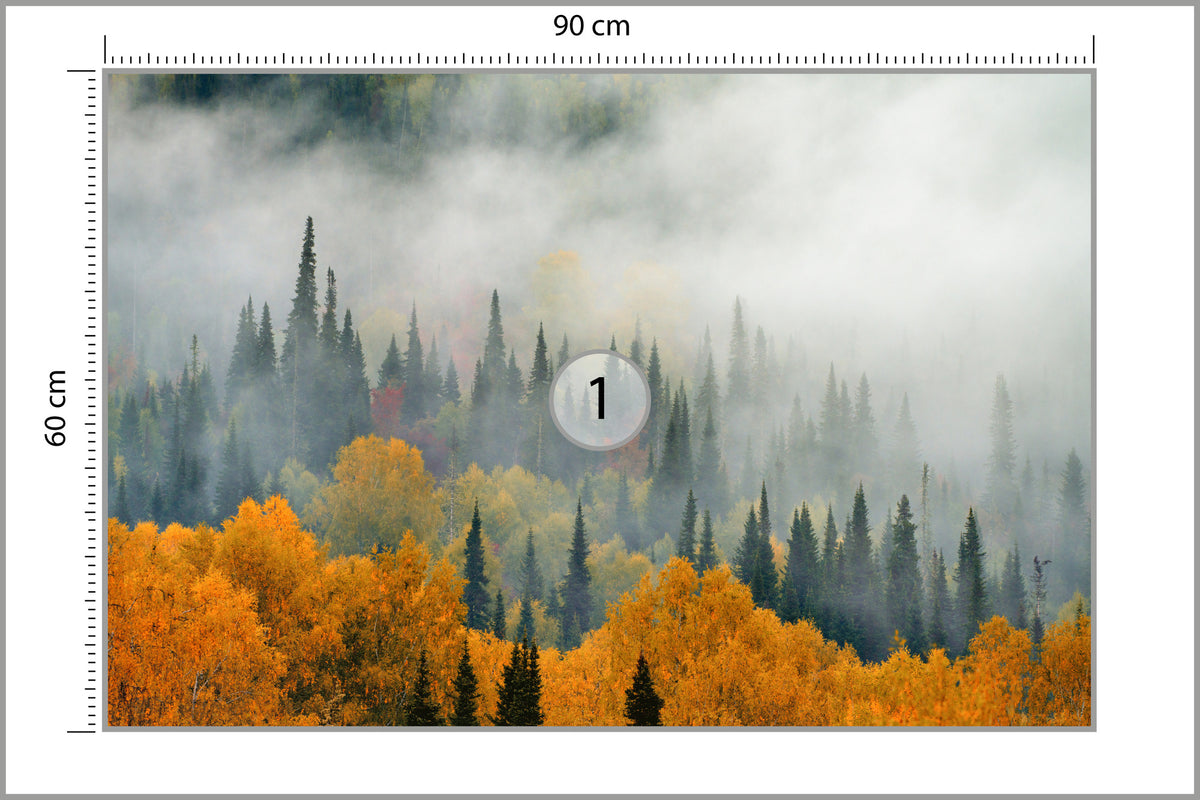 Fototapeta Mgła Nad Jesiennym Lasem 90 × 60 cm – podgląd kadru