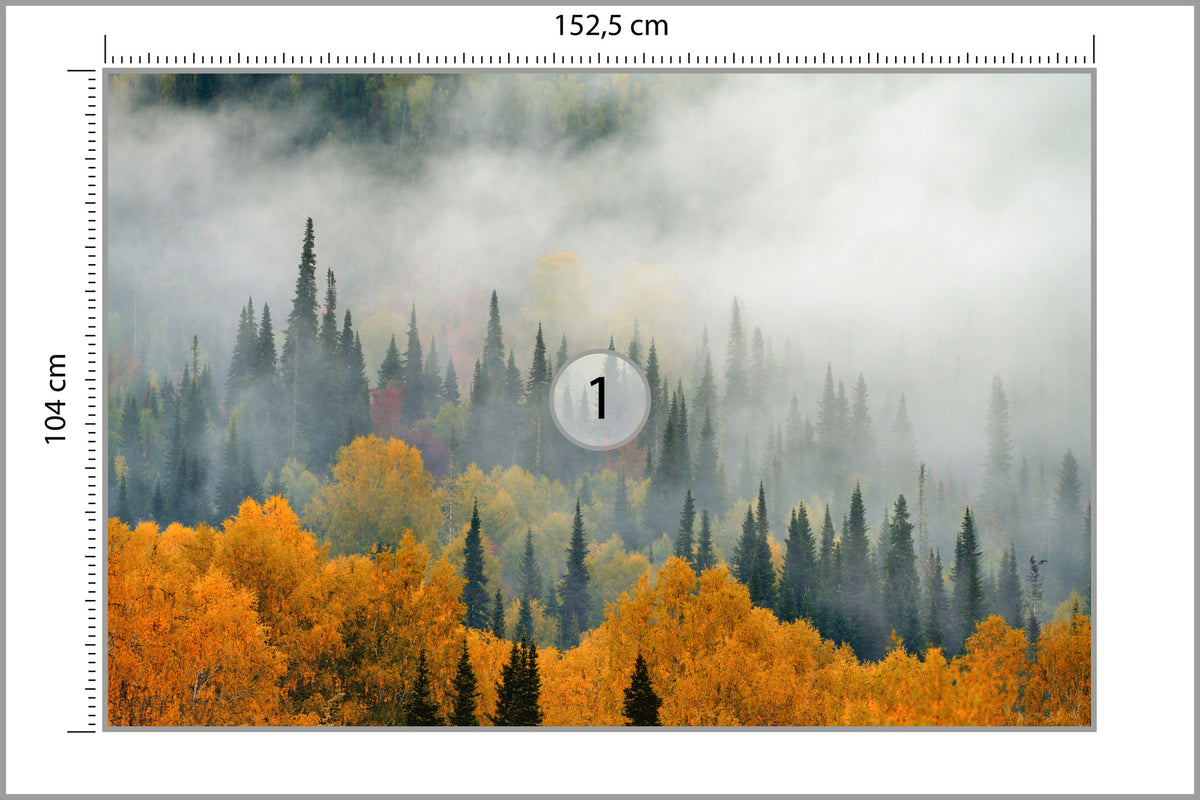 Fototapeta Mgła Nad Jesiennym Lasem 152,5 × 104 cm – podgląd kadru