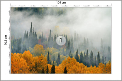 Fototapeta Mgła Nad Jesiennym Lasem 104 × 70,5 cm – podgląd kadru