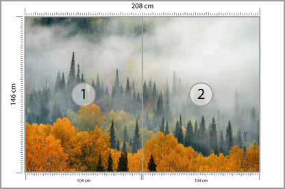 Fototapeta Mgła Nad Jesiennym Lasem 208 × 146 cm – podgląd kadru