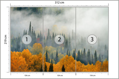 Fototapeta Mgła Nad Jesiennym Lasem 312 × 219 cm – podgląd kadru