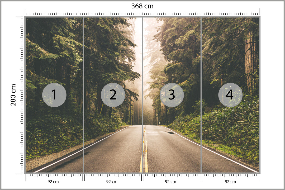 Fototapeta Droga W Amerykańskim Lesie 368 × 280 cm – podgląd kadru