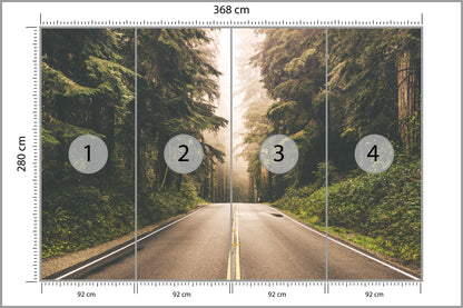 Fototapeta Droga W Amerykańskim Lesie 368 × 280 cm – podgląd kadru