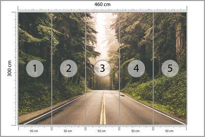Fototapeta Droga W Amerykańskim Lesie 460 × 300 cm – podgląd kadru
