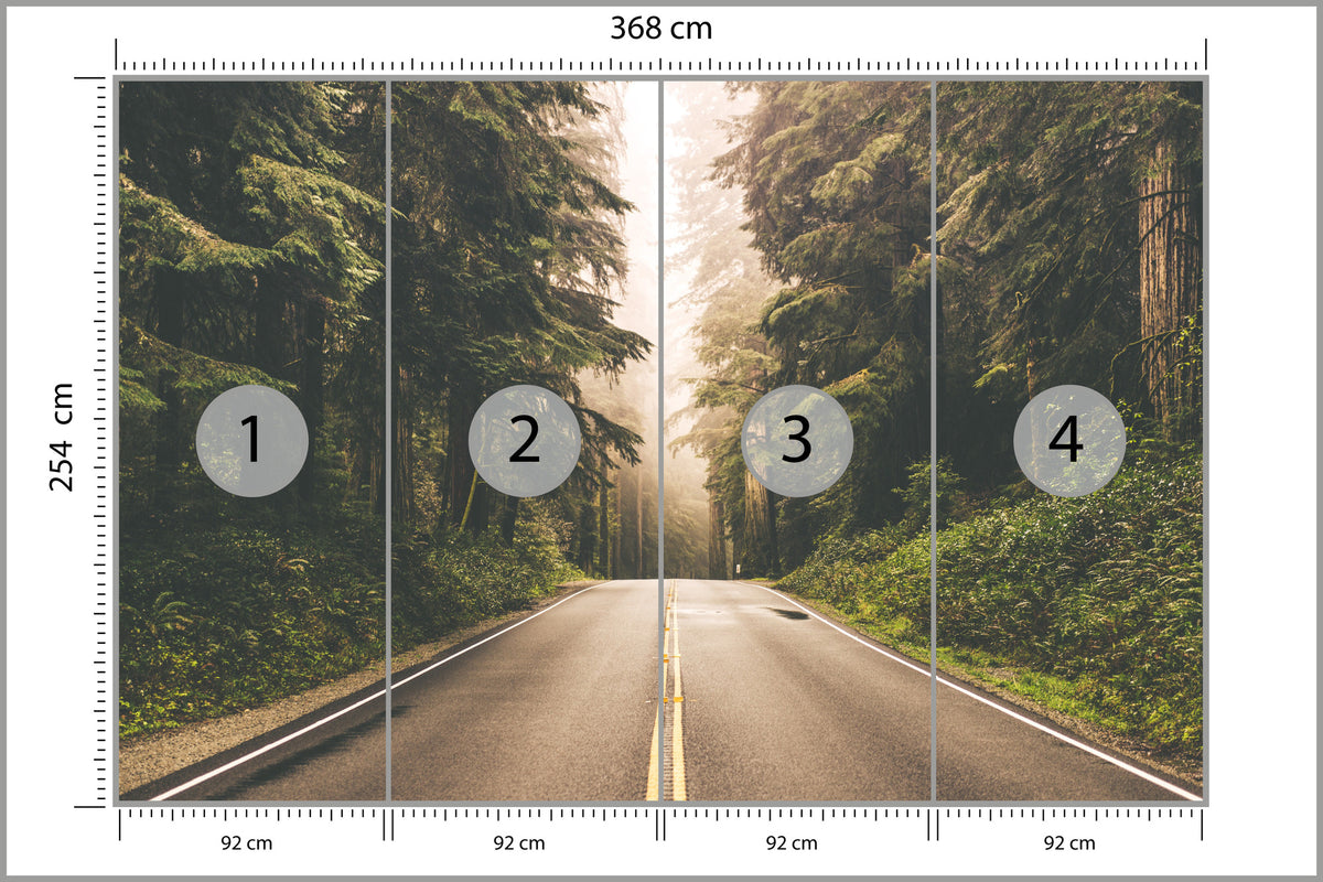 Fototapeta Droga W Amerykańskim Lesie 368 × 254 cm – podgląd kadru
