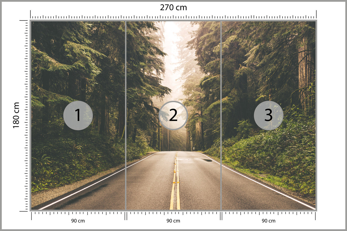 Fototapeta Droga W Amerykańskim Lesie 270 × 180 cm – podgląd kadru