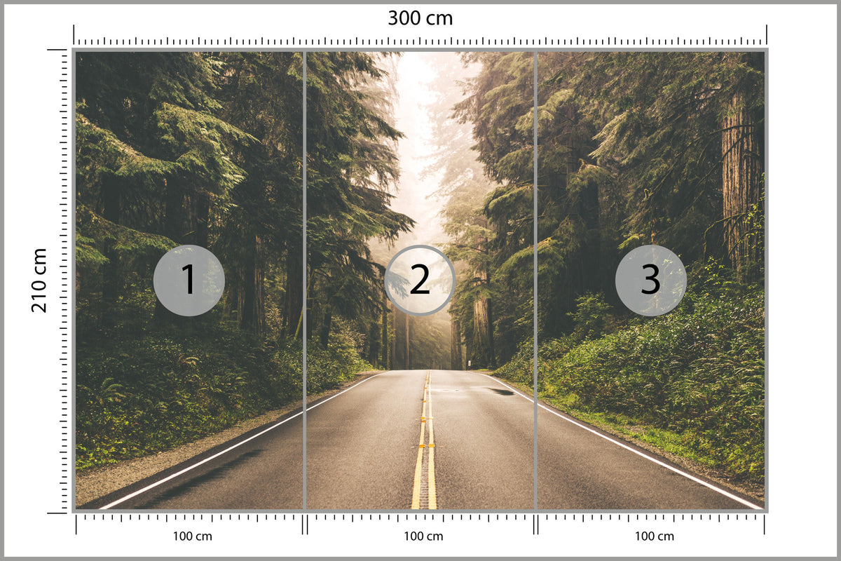 Fototapeta Droga W Amerykańskim Lesie 300 × 210 cm – podgląd kadru