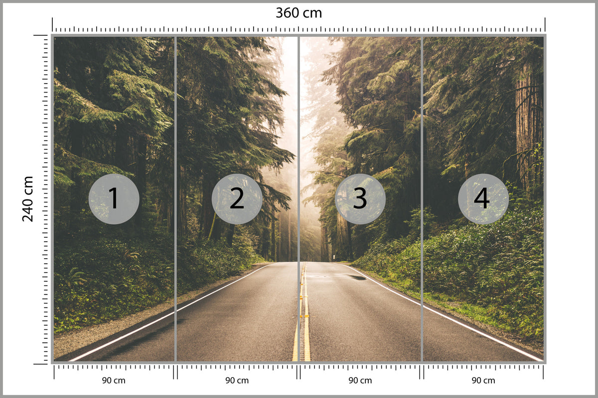 Fototapeta Droga W Amerykańskim Lesie 360 × 240 cm – podgląd kadru