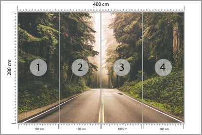 Fototapeta Droga W Amerykańskim Lesie 400 × 280 cm – podgląd kadru