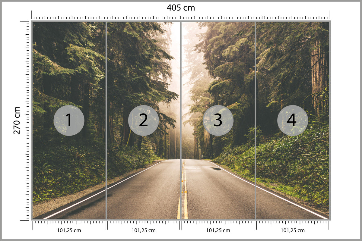 Fototapeta Droga W Amerykańskim Lesie 405 × 270 cm – podgląd kadru