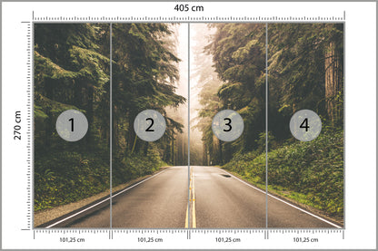 Fototapeta Droga W Amerykańskim Lesie 405 × 270 cm – podgląd kadru