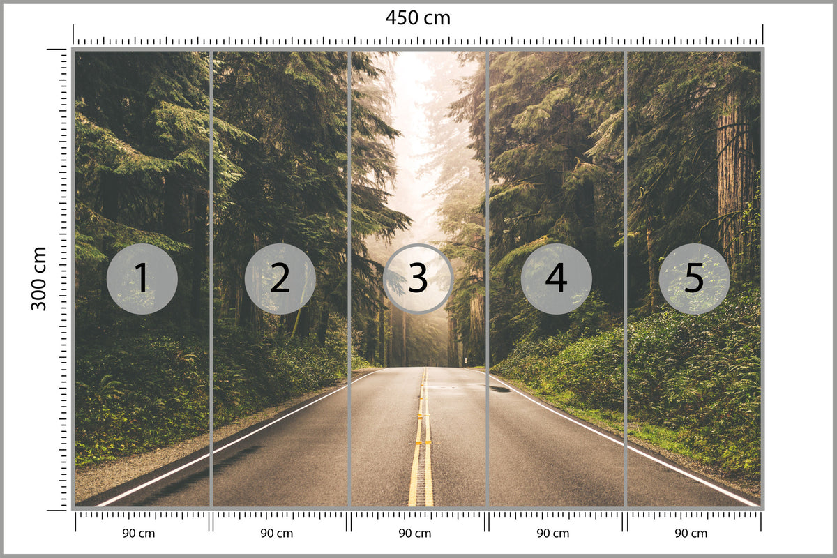 Fototapeta Droga W Amerykańskim Lesie 450 × 300 cm – podgląd kadru