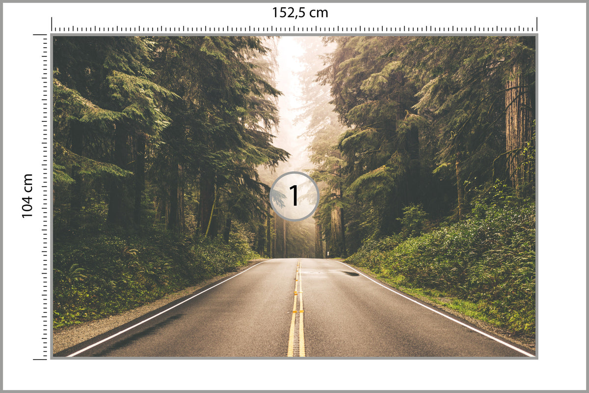 Fototapeta Droga W Amerykańskim Lesie 152,5 × 104 cm – podgląd kadru