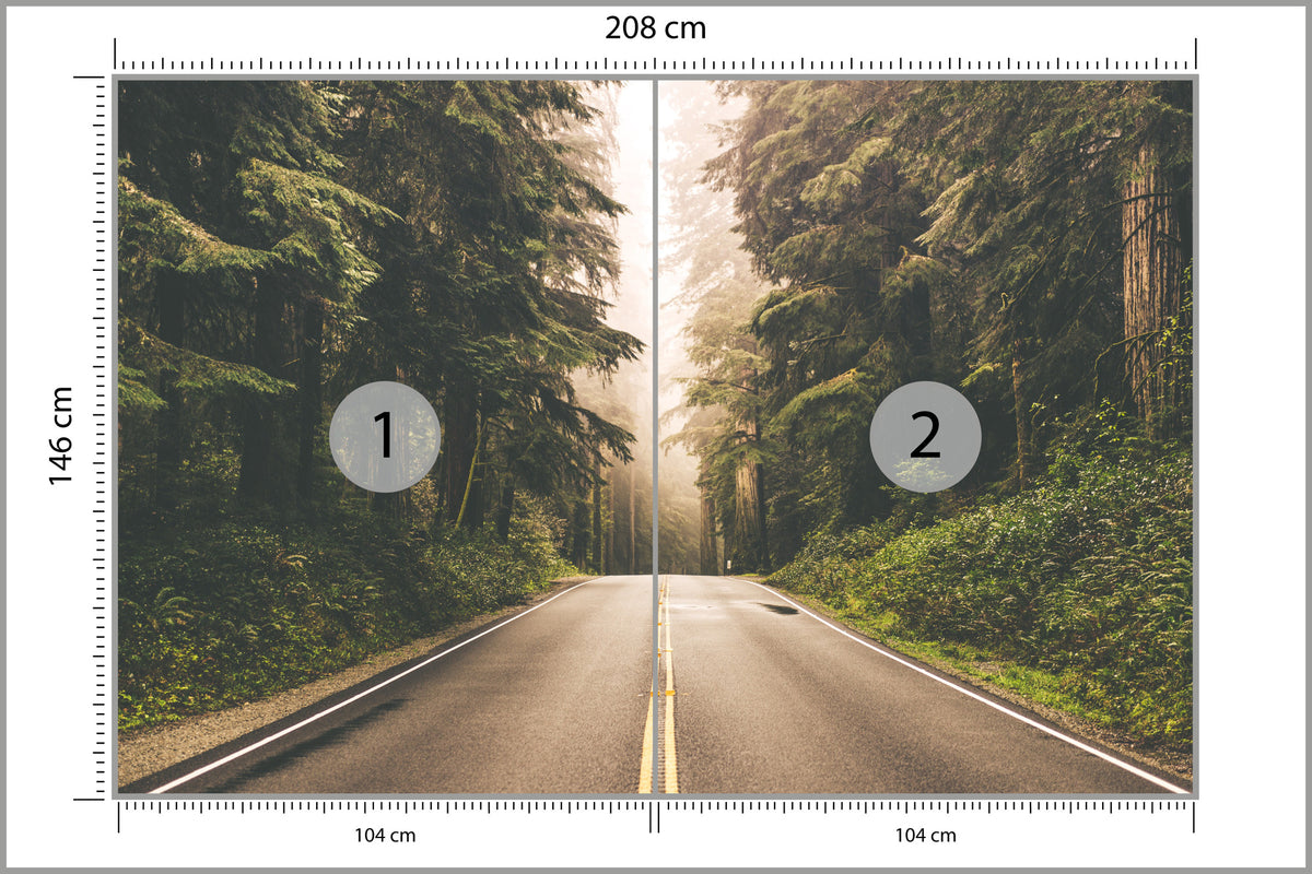 Fototapeta Droga W Amerykańskim Lesie 208 × 146 cm – podgląd kadru