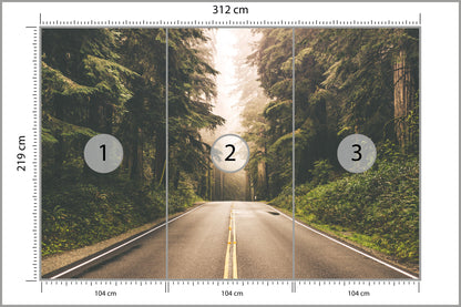 Fototapeta Droga W Amerykańskim Lesie 312 × 219 cm – podgląd kadru