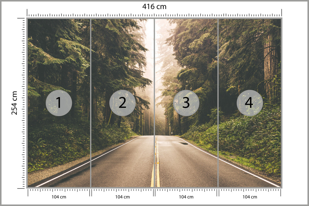 Fototapeta Droga W Amerykańskim Lesie 416 × 254 cm – podgląd kadru