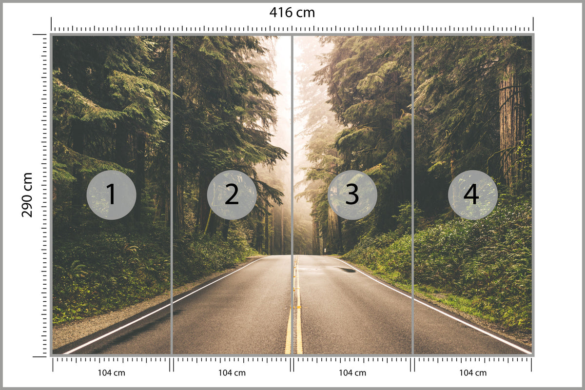 Fototapeta Droga W Amerykańskim Lesie 416 × 290 cm – podgląd kadru