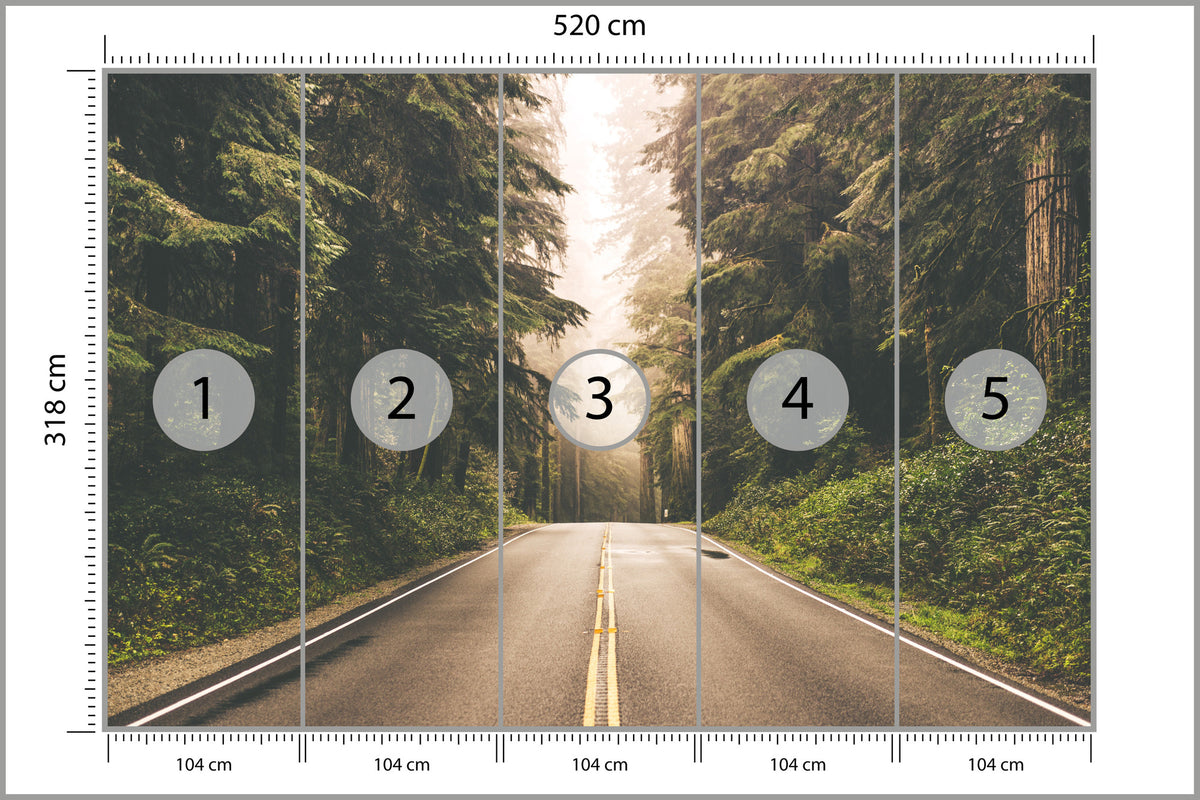 Fototapeta Droga W Amerykańskim Lesie 520 × 318 cm – podgląd kadru