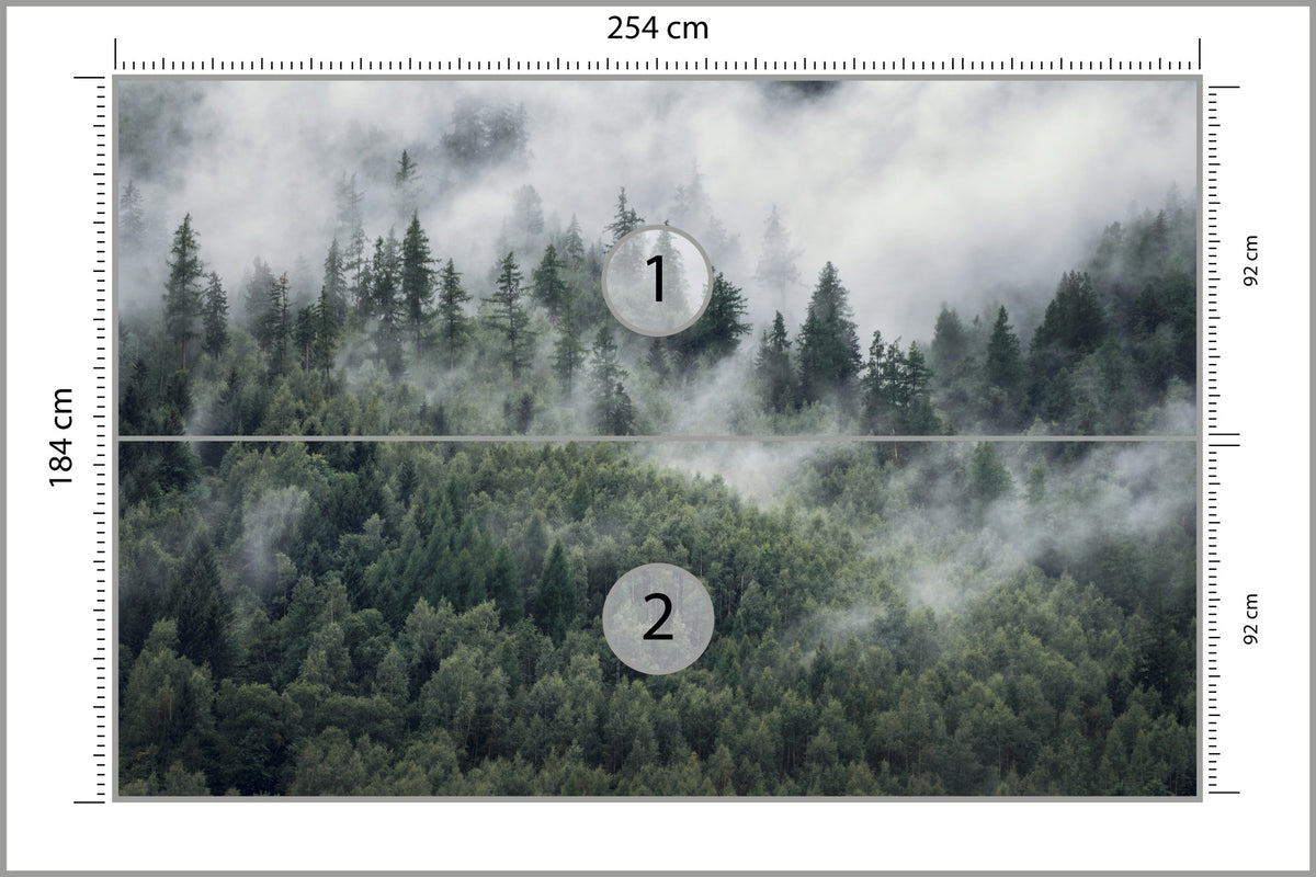 Fototapeta Las W Porannej Mgle 254 × 184 cm – podgląd kadru
