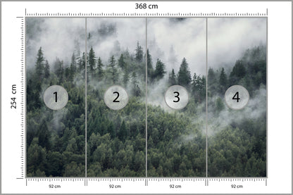 Fototapeta Las W Porannej Mgle 368 × 254 cm – podgląd kadru