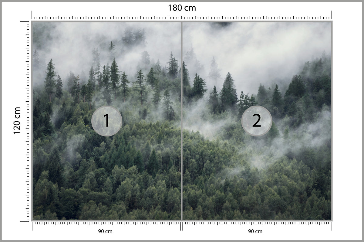 Fototapeta Las W Porannej Mgle 180 × 120 cm – podgląd kadru