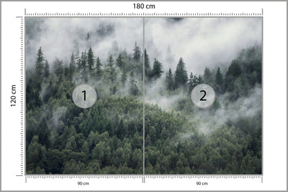 Fototapeta Las W Porannej Mgle 180 × 120 cm – podgląd kadru