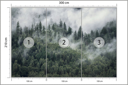 Fototapeta Las W Porannej Mgle 300 × 210 cm – podgląd kadru