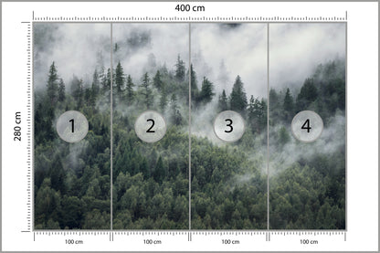 Fototapeta Las W Porannej Mgle 400 × 280 cm – podgląd kadru