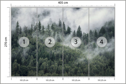 Fototapeta Las W Porannej Mgle 405 × 270 cm – podgląd kadru