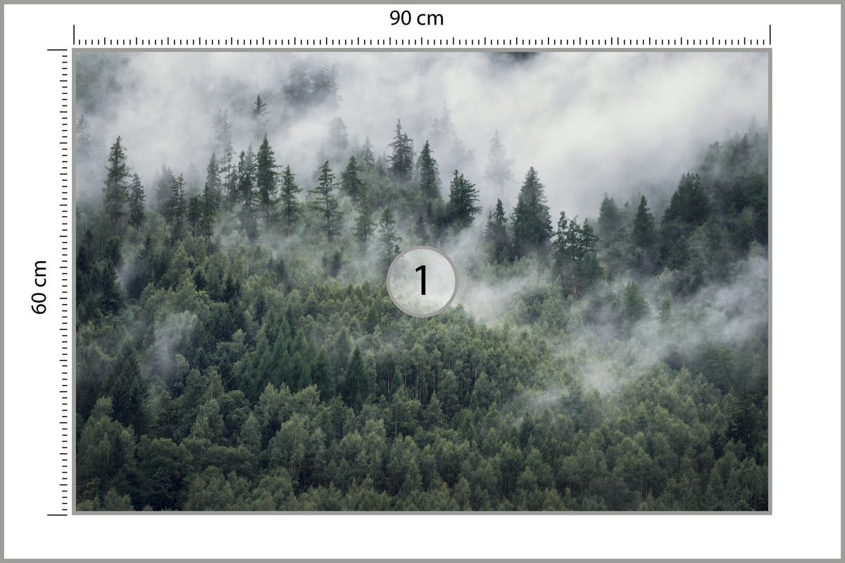 Fototapeta Las W Porannej Mgle 90 × 60 cm – podgląd kadru