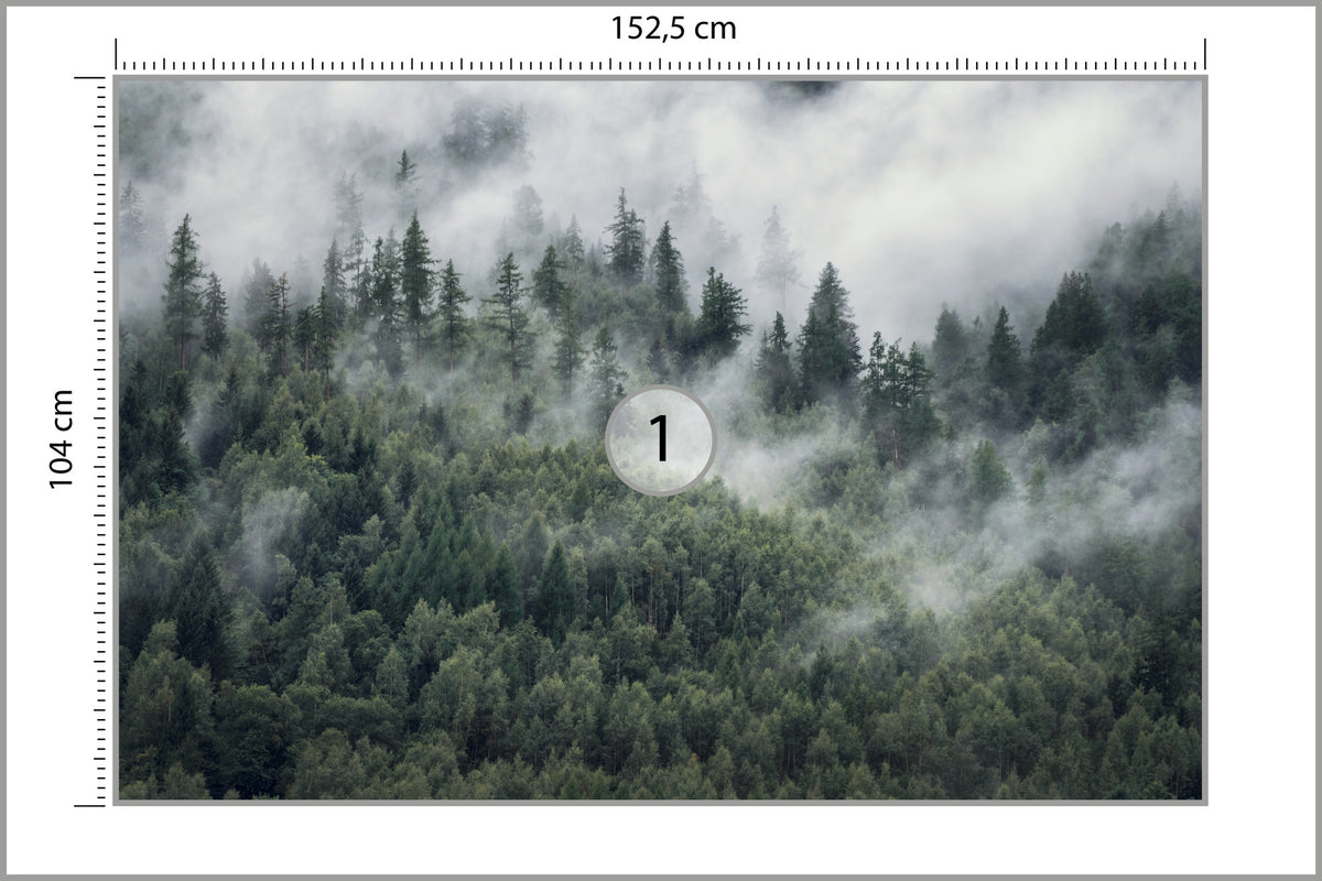 Fototapeta Las W Porannej Mgle 152,5 × 104 cm – podgląd kadru