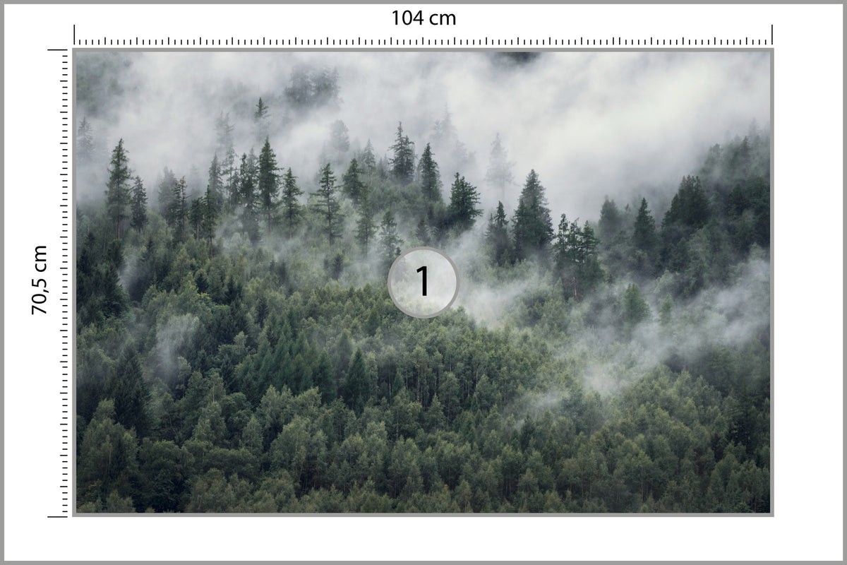 Fototapeta Las W Porannej Mgle 104 × 70,5 cm – podgląd kadru