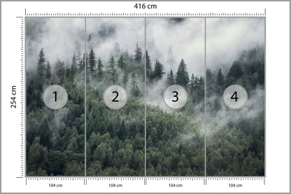Fototapeta Las W Porannej Mgle 416 × 254 cm – podgląd kadru