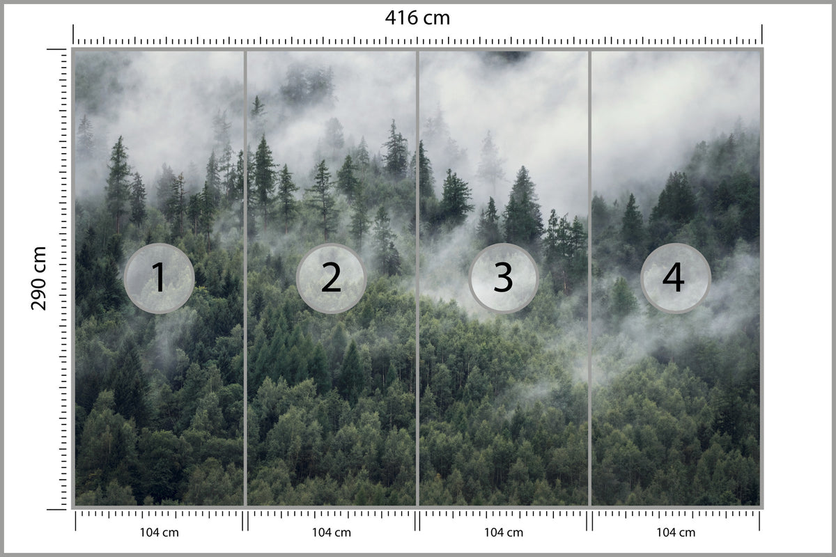 Fototapeta Las W Porannej Mgle 416 × 290 cm – podgląd kadru