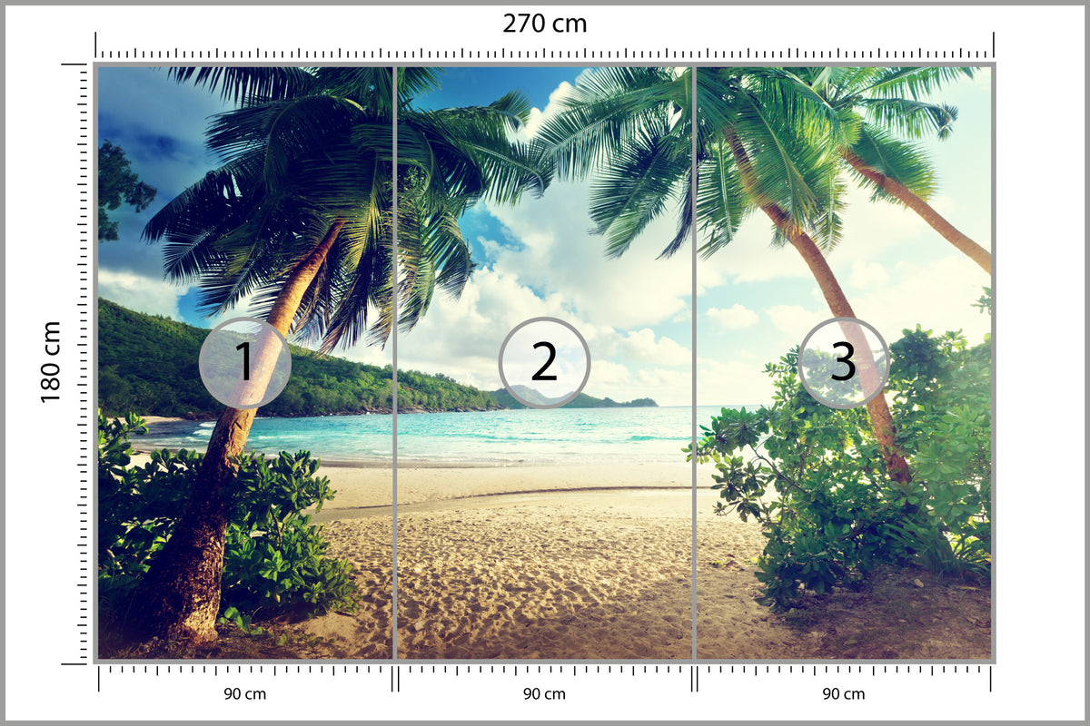 Fototapeta Palmy Na Seszelach 270 × 180 cm – podgląd kadru