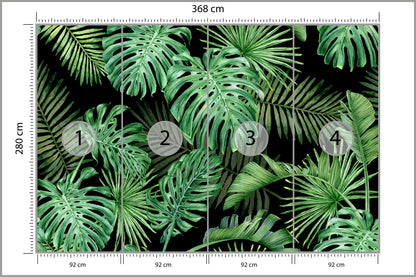 Fototapeta Liście Monstera Na Czarnym Tle 368 × 280 cm – podgląd kadru