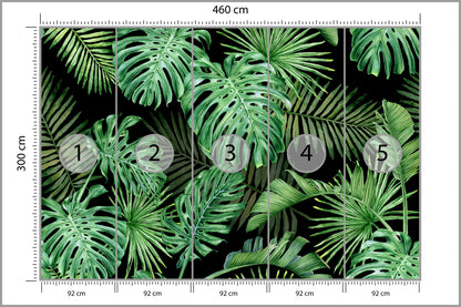 Fototapeta Liście Monstera Na Czarnym Tle 460 × 300 cm – podgląd kadru