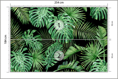 Fototapeta Liście Monstera Na Czarnym Tle 254 × 184 cm – podgląd kadru