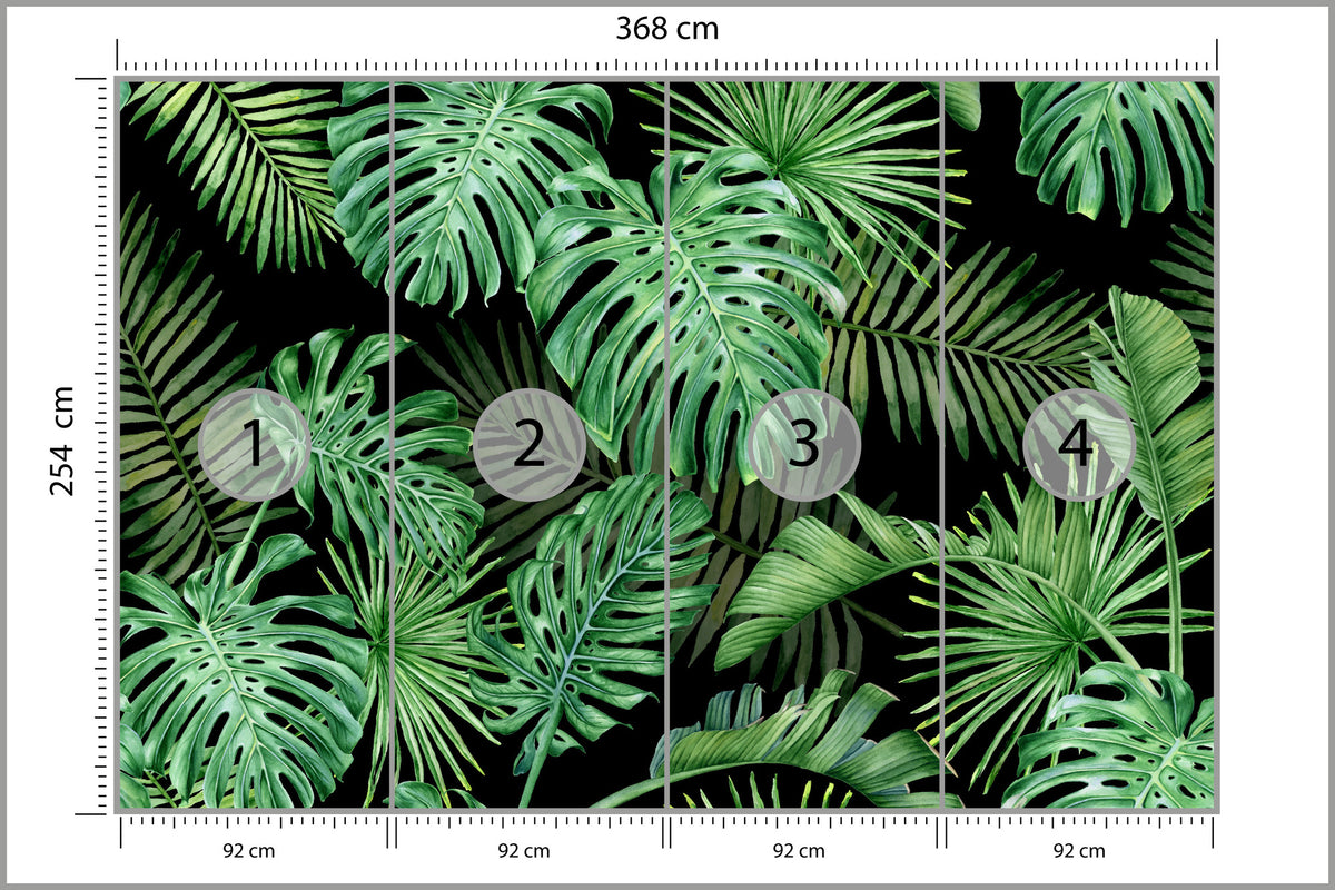 Fototapeta Liście Monstera Na Czarnym Tle 368 × 254 cm – podgląd kadru