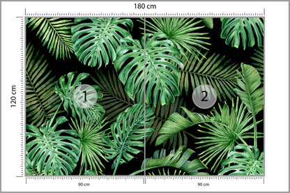 Fototapeta Liście Monstera Na Czarnym Tle 180 × 120 cm – podgląd kadru
