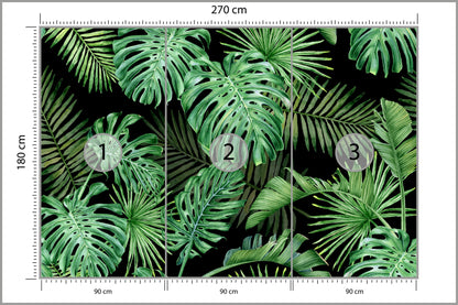 Fototapeta Liście Monstera Na Czarnym Tle 270 × 180 cm – podgląd kadru