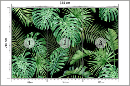 Fototapeta Liście Monstera Na Czarnym Tle 315 × 210 cm – podgląd kadru