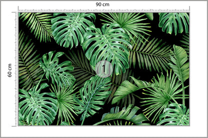 Fototapeta Liście Monstera Na Czarnym Tle 90 × 60 cm – podgląd kadru