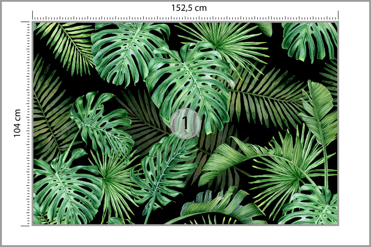 Fototapeta Liście Monstera Na Czarnym Tle 152,5 × 104 cm – podgląd kadru
