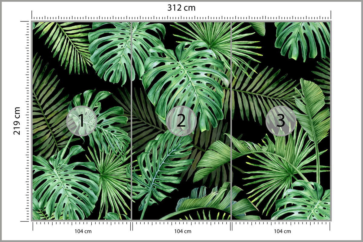 Fototapeta Liście Monstera Na Czarnym Tle 312 × 219 cm – podgląd kadru