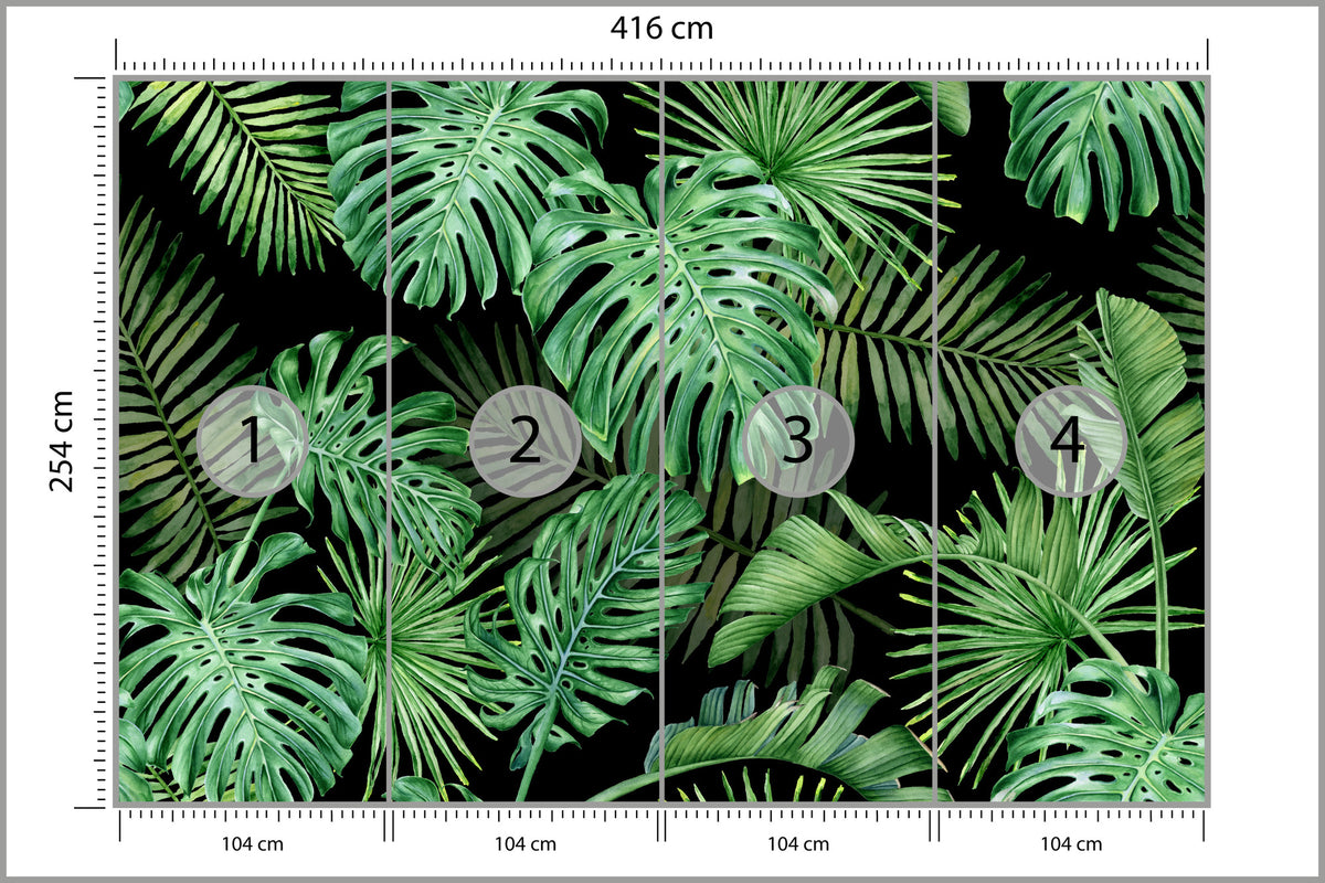 Fototapeta Liście Monstera Na Czarnym Tle 416 × 254 cm – podgląd kadru