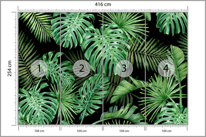Fototapeta Liście Monstera Na Czarnym Tle 416 × 254 cm – podgląd kadru