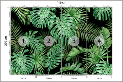 Fototapeta Liście Monstera Na Czarnym Tle 416 × 290 cm – podgląd kadru