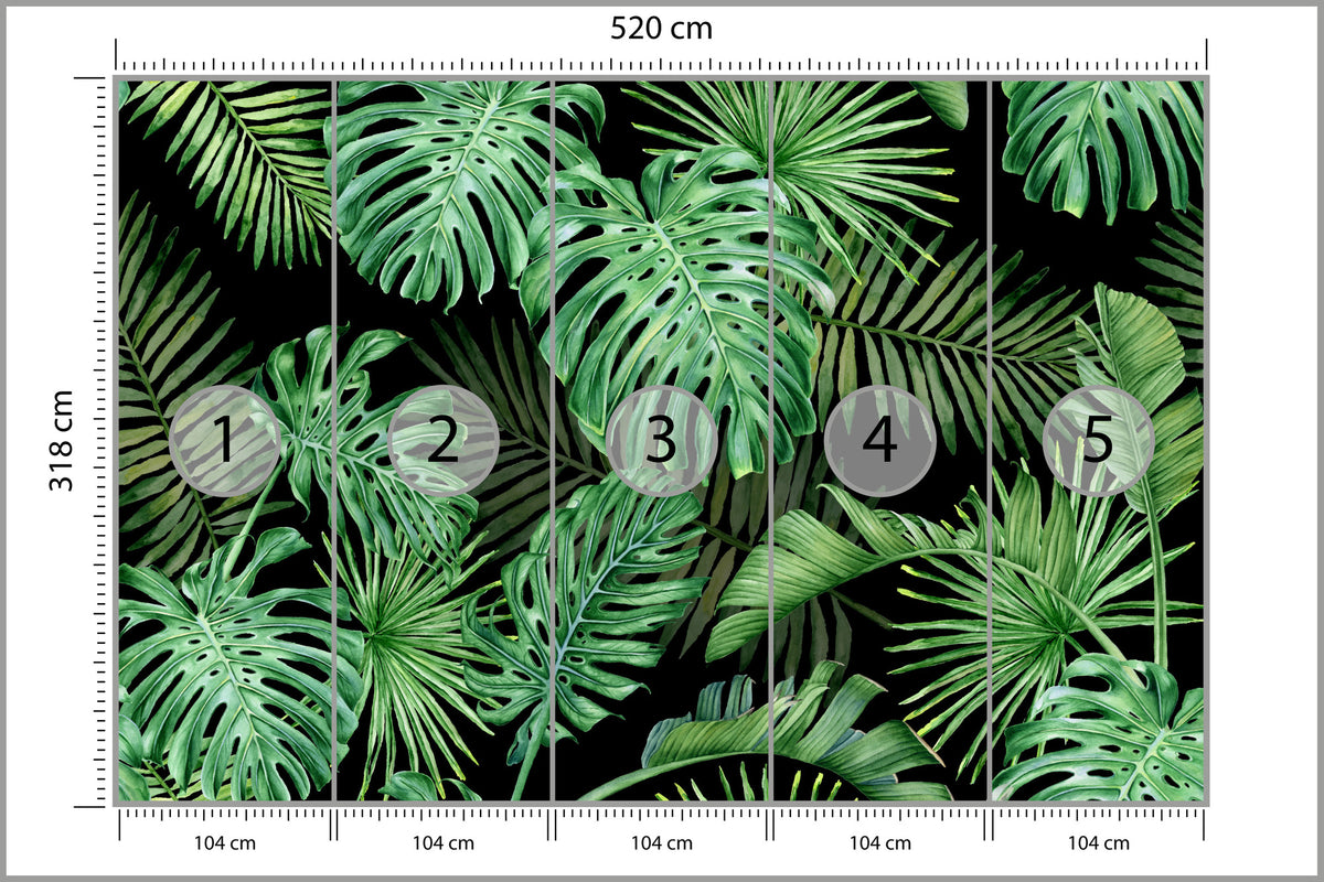 Fototapeta Liście Monstera Na Czarnym Tle 520 × 318 cm – podgląd kadru