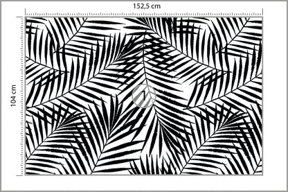 Fototapeta Liście Palmowe Czarno-Białe 152,5 × 104 cm – podgląd kadru